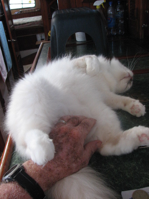 ZZZ