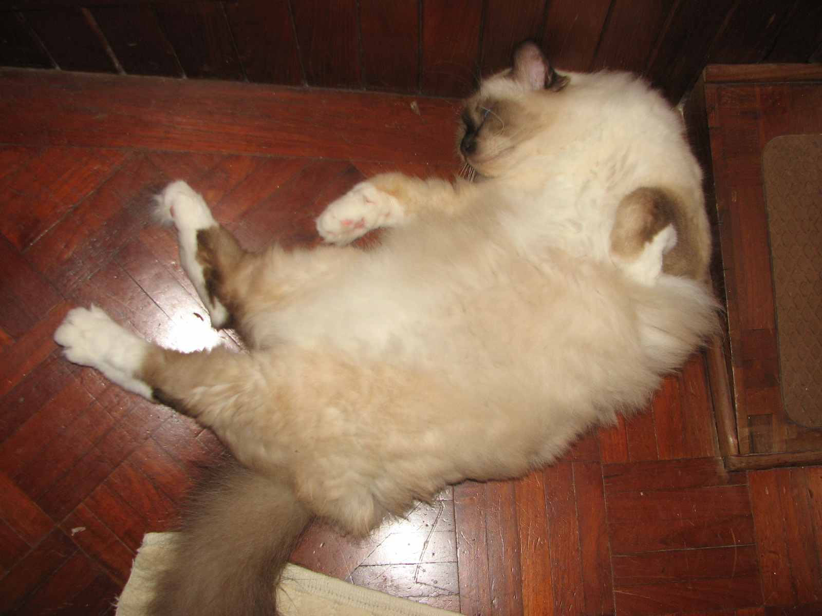 ZZZ