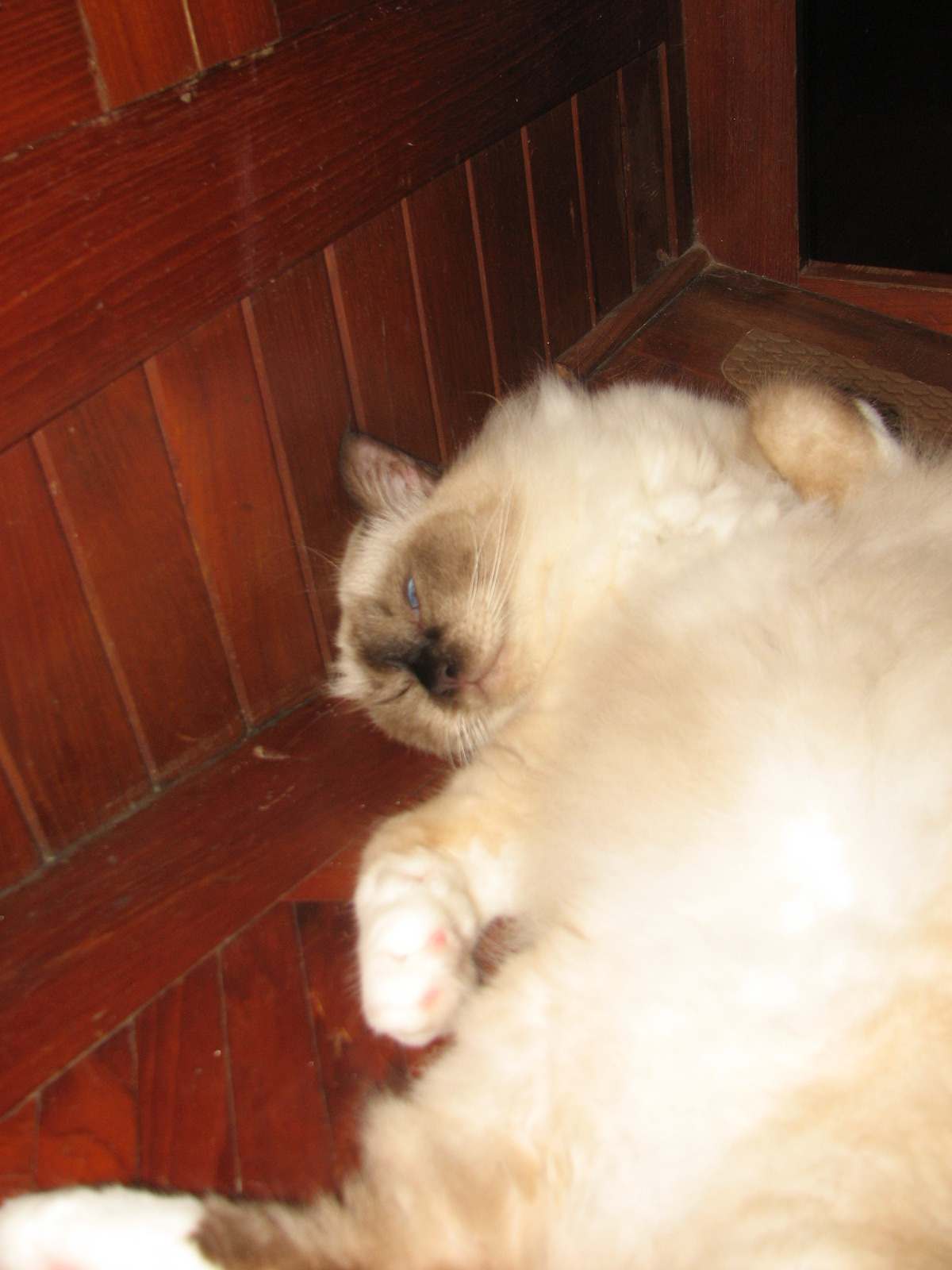 ZZZ