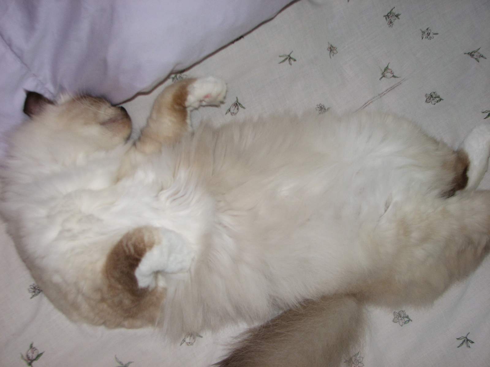 ZZZ