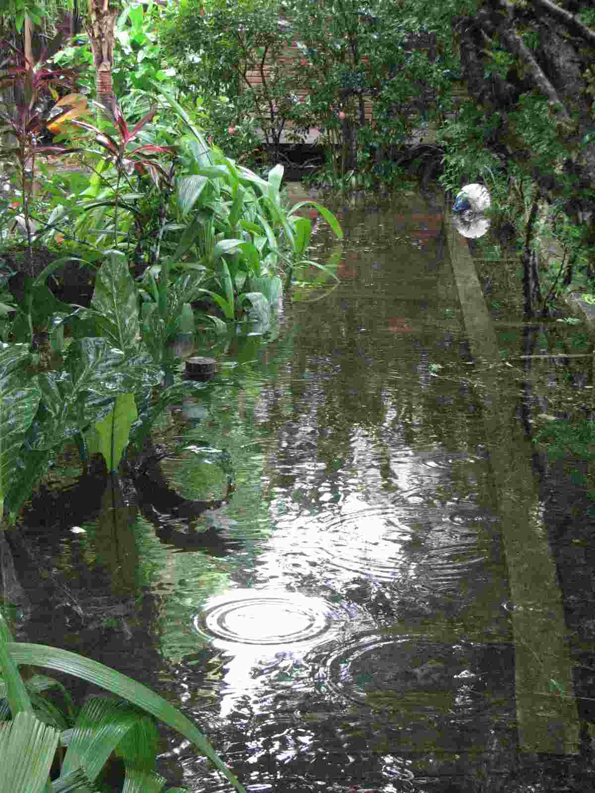 ZZZ