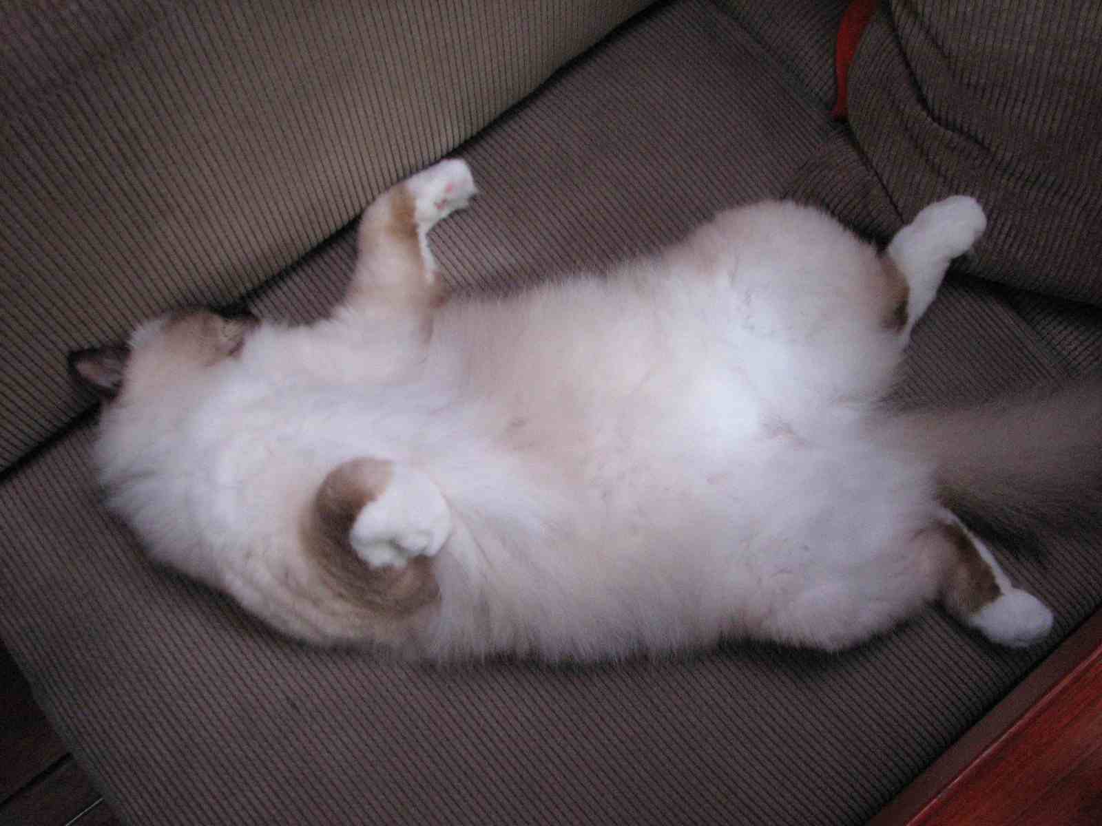 ZZZ
